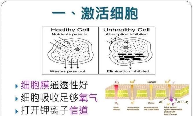 负离子植物对健康有哪些益处？