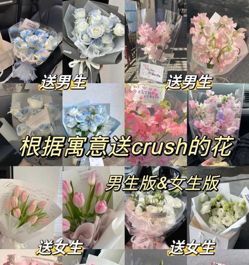 送小九玫瑰花有何特别含义？它在表达情感时的作用是什么？