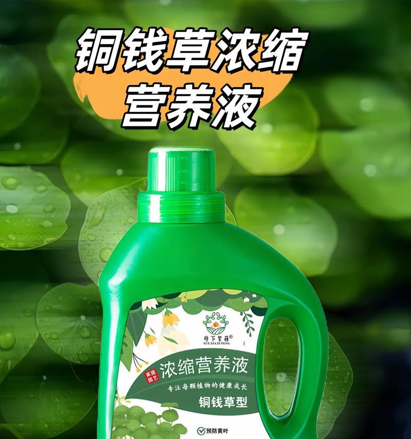 花卉植物需要哪些营养元素？它们的作用是什么？