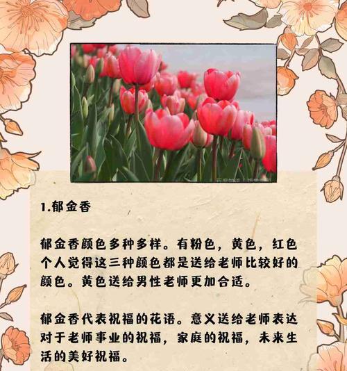 用花形容六月的花语是什么？哪种花代表夏天？