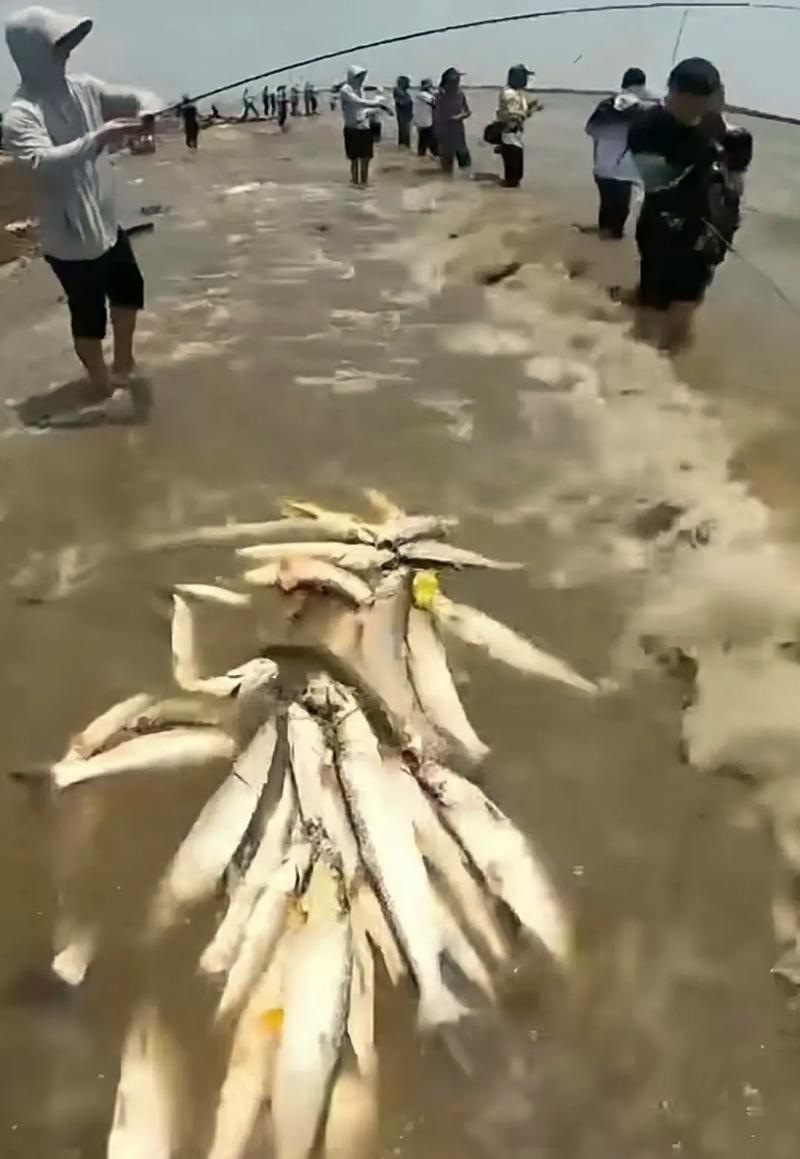 路亚钓鱼爱好者喜欢哪种花语？送什么花最合适？