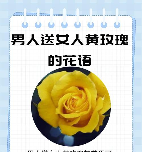 冬天送老公玫瑰花有何特别含义？