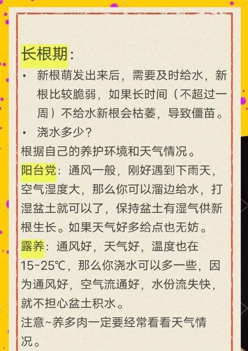 冬季是否需要给仙人球浇水及其原因？
