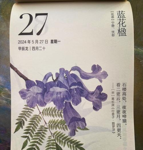 4月20日的花语代表什么含义？