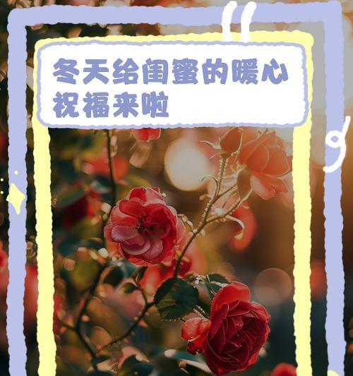 冬天送什么花给闺蜜最有意义？