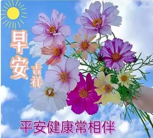 快乐平安的花语是什么？它传递了哪种祝福？