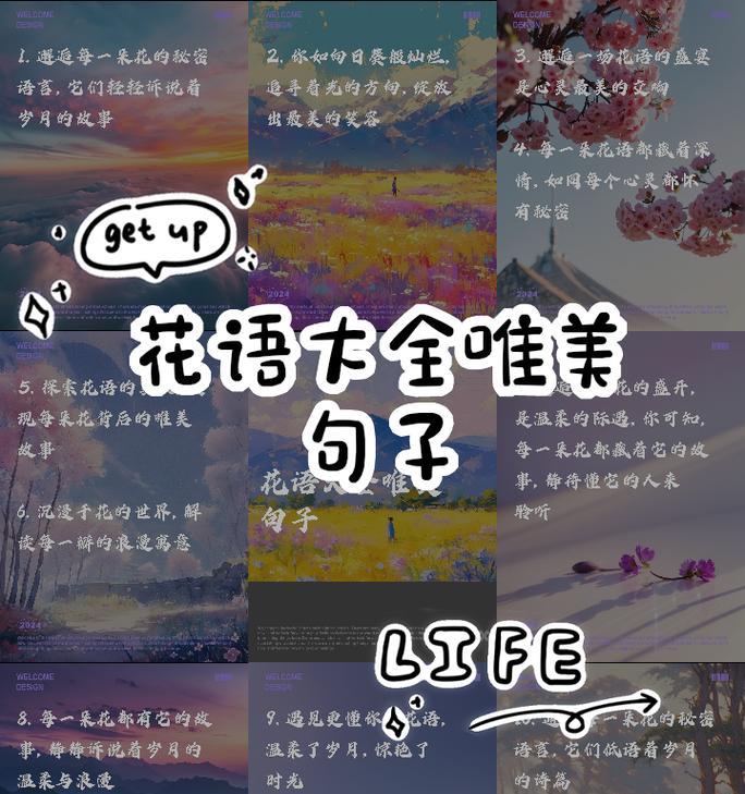向日葵迎接出狱的人花语有何寓意？