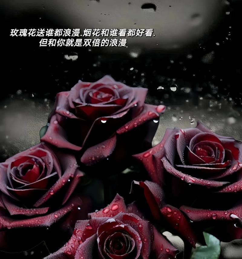 黑色喷的玫瑰是什么花语？黑色玫瑰代表了什么？