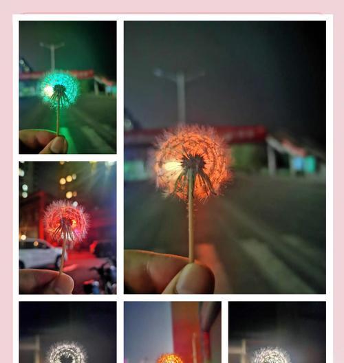 蒲公英的花语有哪些寓意？