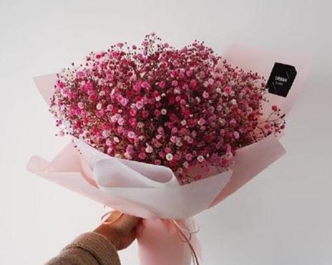 用烟如何表达花语？用烟传递的花语有何特殊含义？