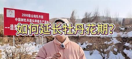 牡丹花浇水有什么讲究？