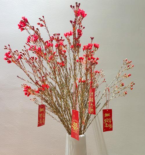 状元花的寓意和花语是什么？