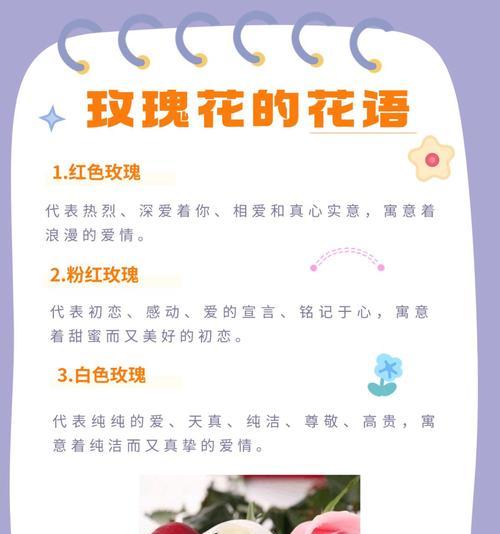 状元花的寓意和花语是什么？