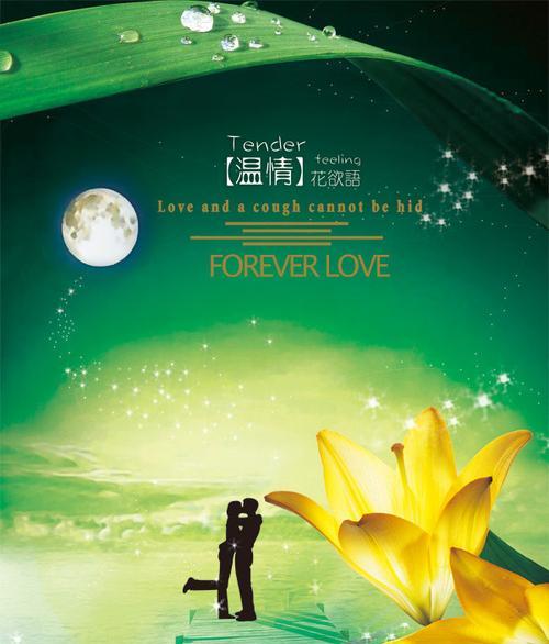 七夕所有的花语是什么？如何找到这些花语？