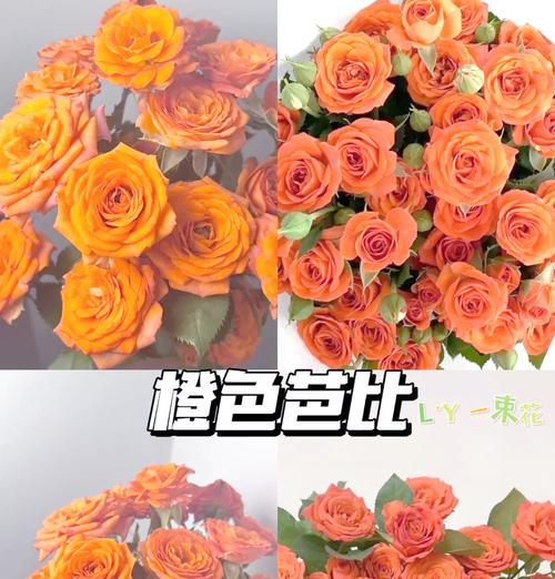 约定余生的花有哪些？它们的花语是什么？