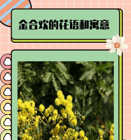 花语芬芳一书讲述了什么？有哪些花语知识？