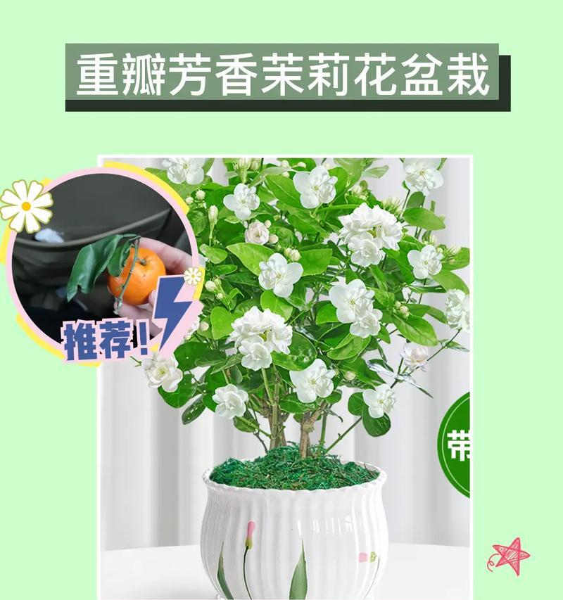 花语芬芳一书讲述了什么？有哪些花语知识？