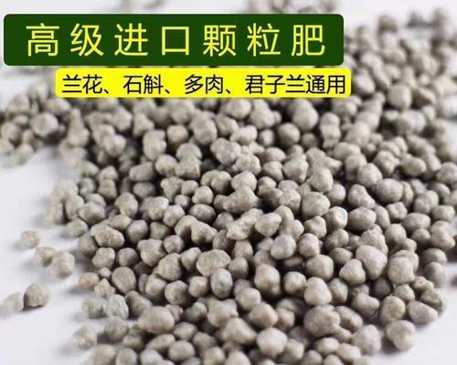 君子兰适合使用哪种缓释型肥料？其效果如何？