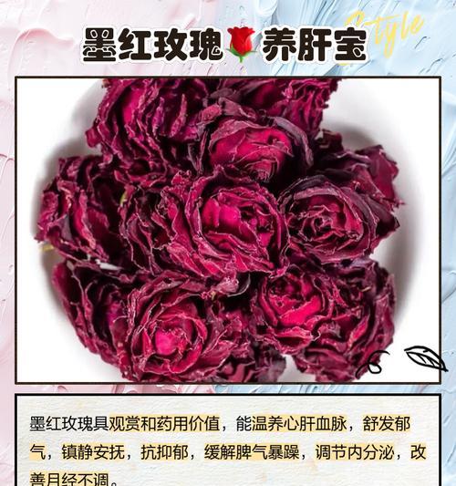 见父母时哪种玫瑰花最合适？