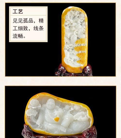 仙人掌富贵玉怎么种出来的？需要哪些步骤？