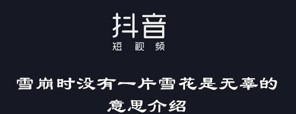 洋芋的花语梗是什么意思？