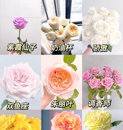 玫瑰与红茶搭配的花语是什么？它们共同表达什么？