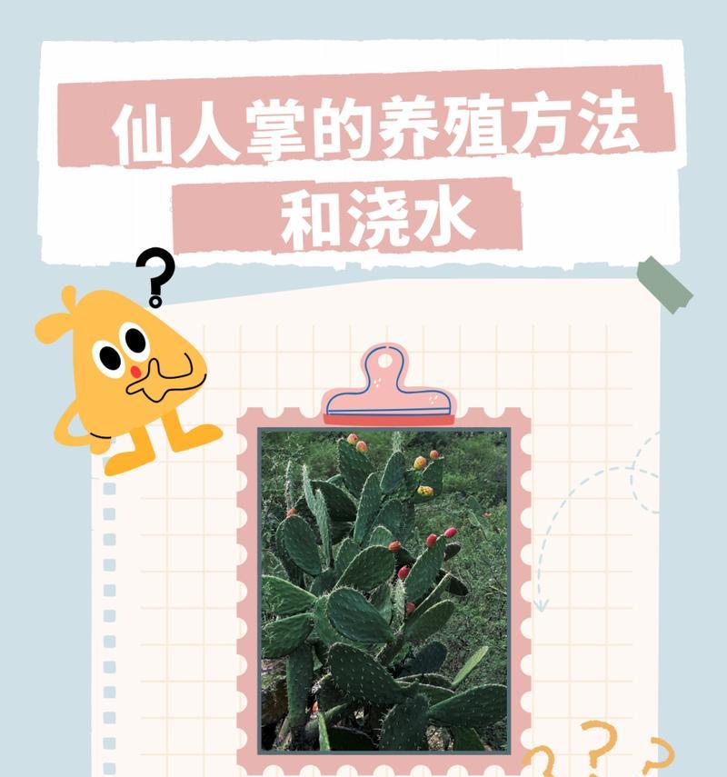 花卉绿植盆仙人掌的正确养殖方式是什么？