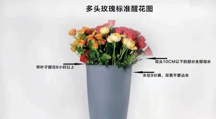 花瓶中的玫瑰花如何修剪？修剪玫瑰花的最佳方法是什么？