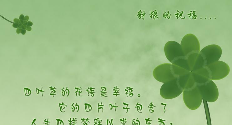 上班祝福的花语是什么？什么花语是等待？