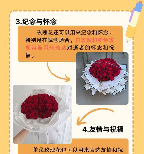 一别两宽是什么花语？粉色玫瑰花壶的寓意又是什么？