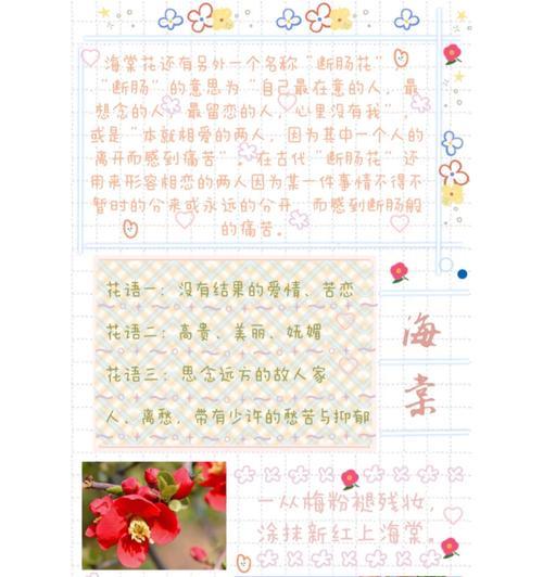 弗洛伊德32朵花的花语有何深意？