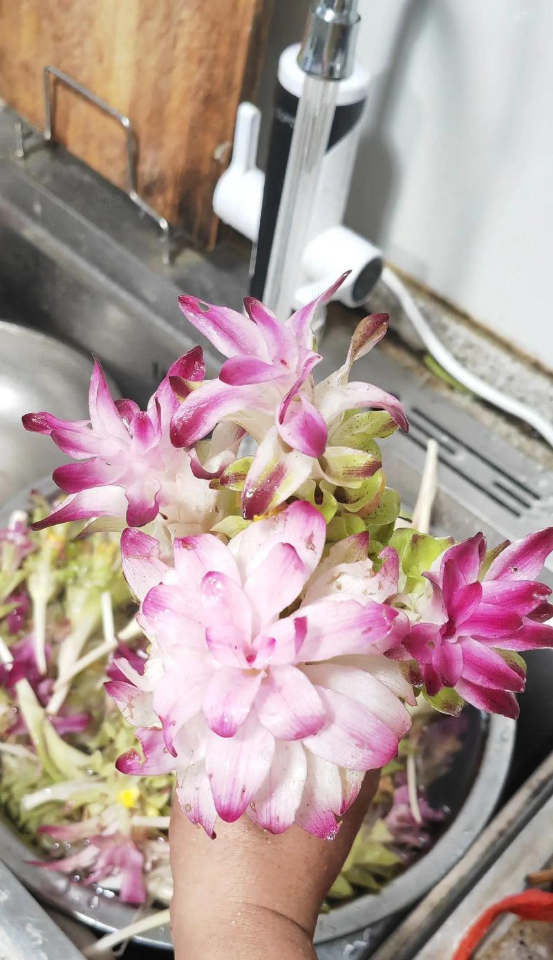 郁金花双拼的花语是什么？它代表了什么？