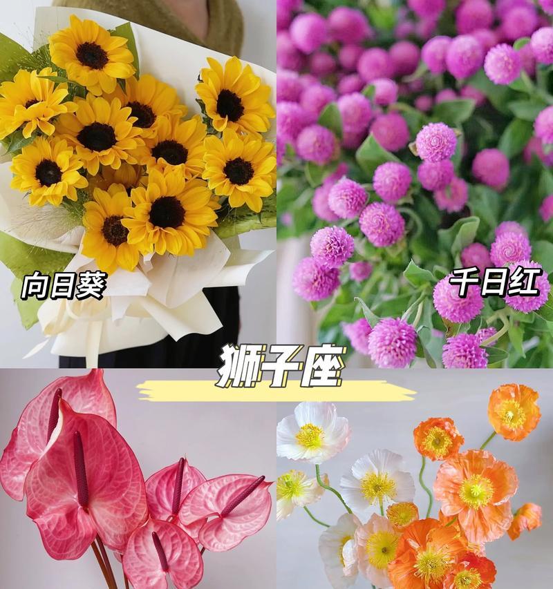 郁金花双拼的花语是什么？它代表了什么？