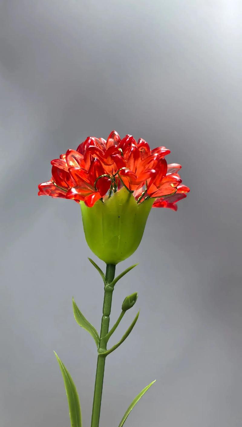 三朵玫瑰搭配康乃馨的花语是什么？