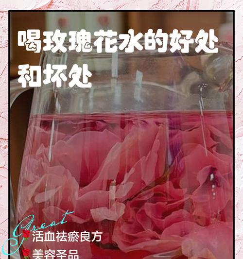 玫瑰花需要换水吗？如何正确养护玫瑰花？
