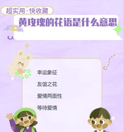 花色毛衣的花语是什么？它传达了哪些情感？