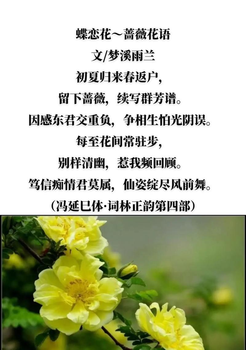 哪种花的花语最适合少年？
