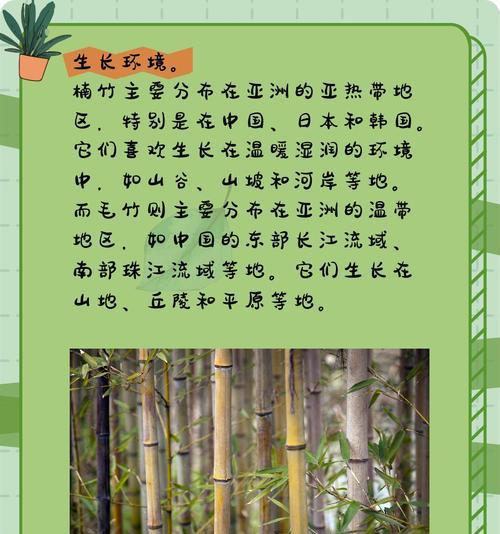 楠竹木的花语有何特别之处？
