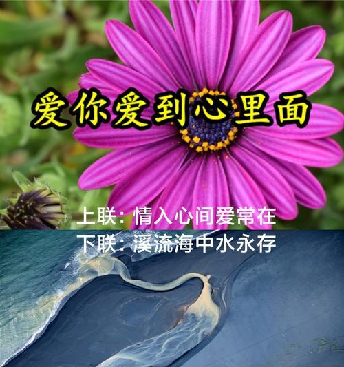 将爱意藏于花语里代表什么？