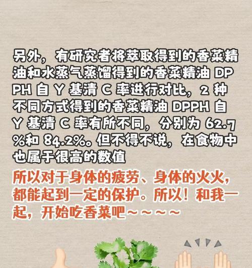 香菜花语背后的含义是什么？