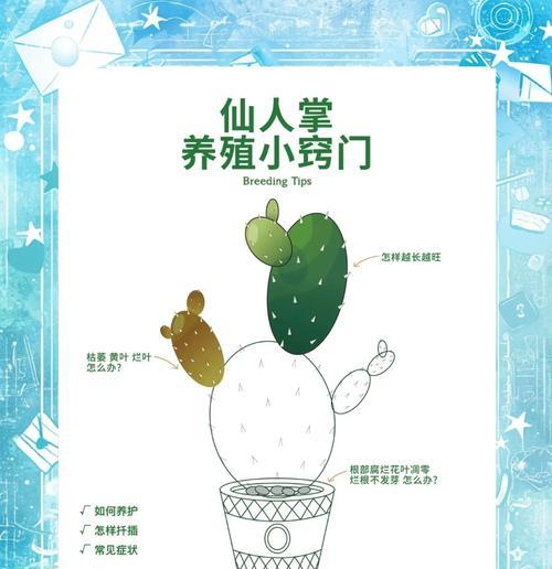 仙人掌老桩带根的养护管理技巧有哪些？