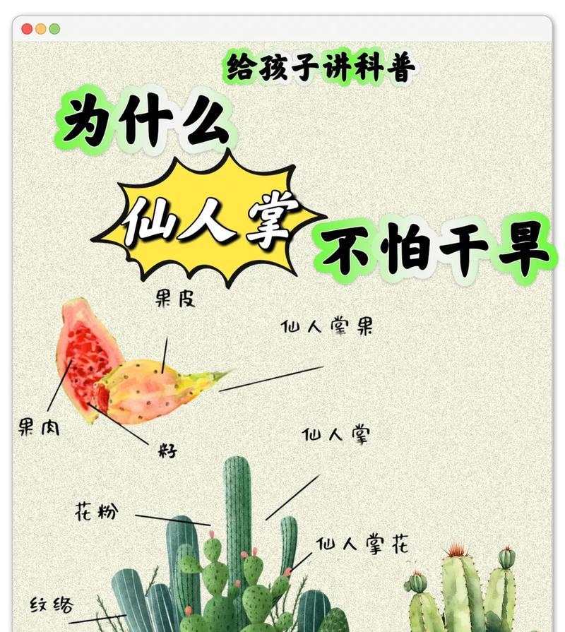叶子带刺却不是仙人掌该如何处理？有什么建议？