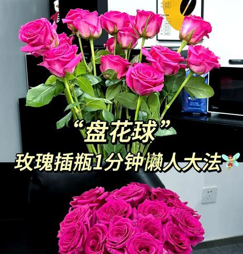 用玫瑰蕊种玫瑰花怎么种？有哪些步骤和注意事项？