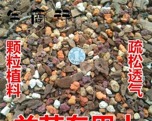 君子兰专用火山岩肥料的正确使用方法是什么？