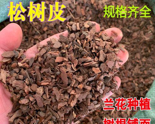 君子兰专用火山岩肥料的正确使用方法是什么？