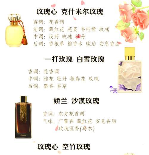 哪种玫瑰花品种香气最迷人？