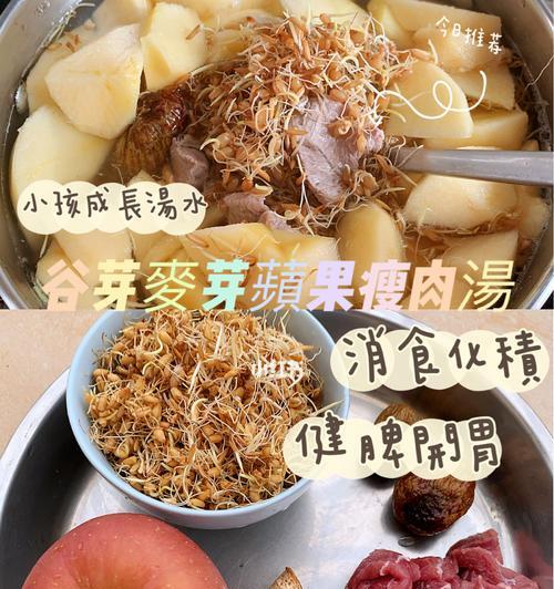 玫瑰花谷芽快速生长需要哪种肥料？