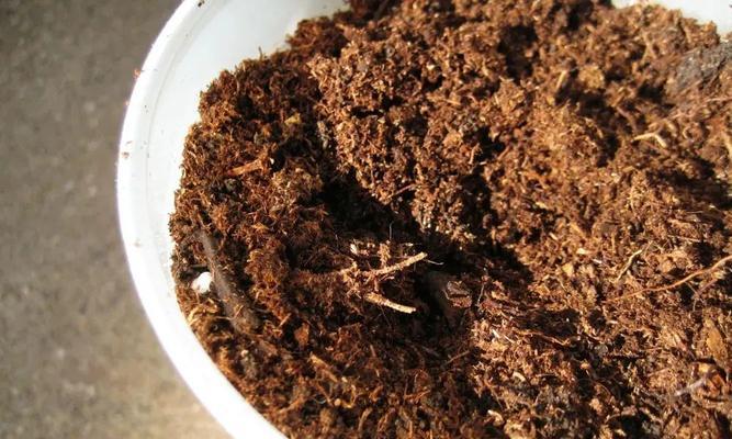 牡丹花使用羊粪肥料的正确方法是什么？如何进行合理施肥？