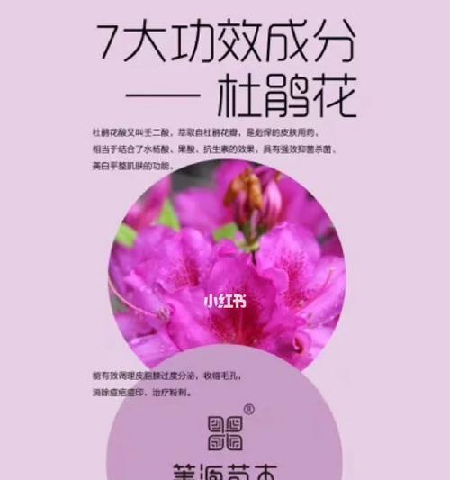 压枝条玫瑰花的养护技巧是什么？如何促进其生长？