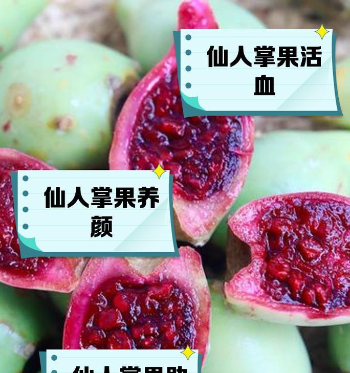 仙人掌球长白色斑点的原因是什么？如何有效治疗？